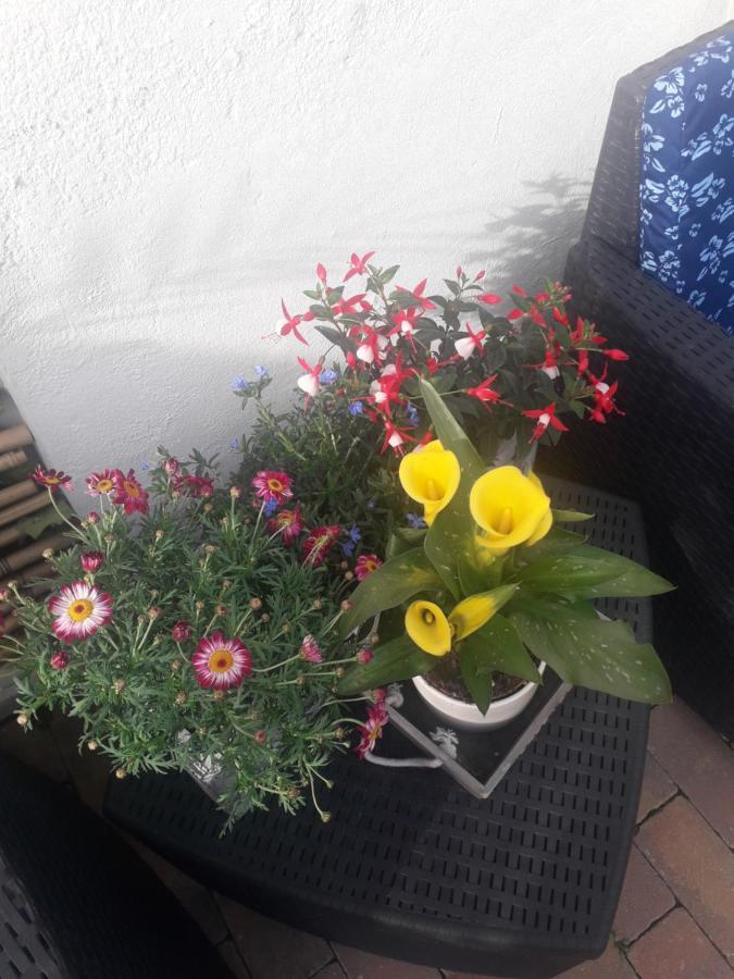 Il Borgo Dei Molini Bed & Breakfast Torreglia Luaran gambar